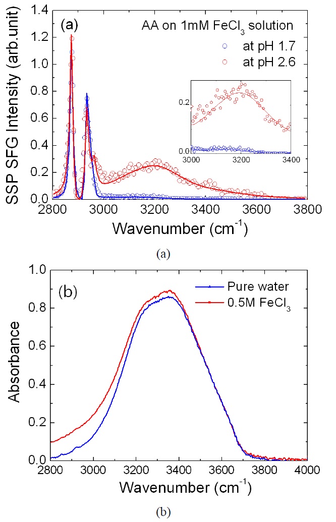 (a) SF spectra of arachidic acid monolayer on 1 mM FeCl3 solution. Inset is a blow-up of the original spectrum for showing the existence of a shoulder around 3080 cm-1 at pH 1.7. Solid lines are fitting curves deduced from Eq. 3. (b) IR absorption spectra of pure water (blue line) and 0.5 M FeCl3 solution (red line).