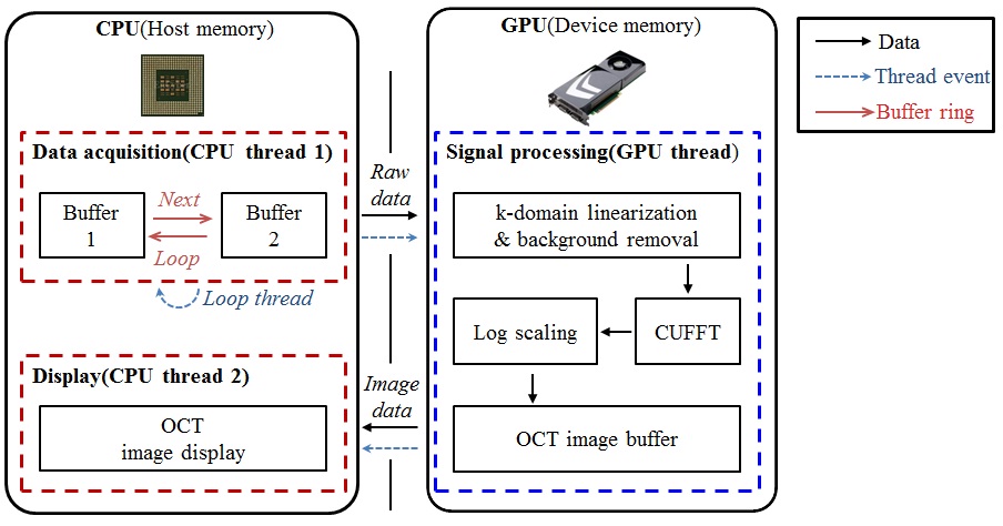 Architecture of the SD-OCT system with signal processing part implemented in a GPU.