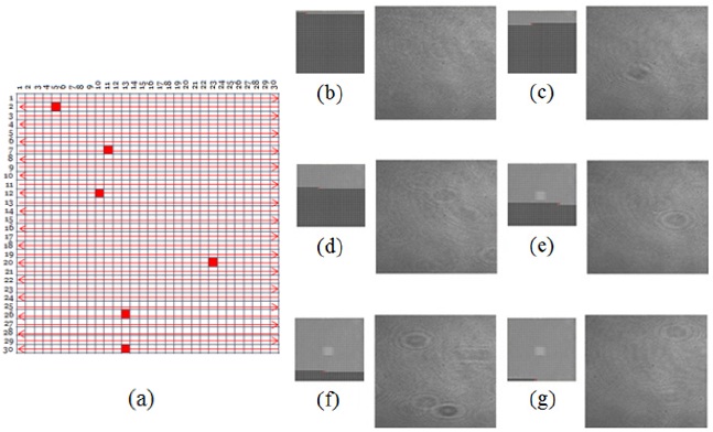 Scanning process and experimental results at various positions of unit detection area on a photo-mask the scanning process in case of cerium oxide powder.