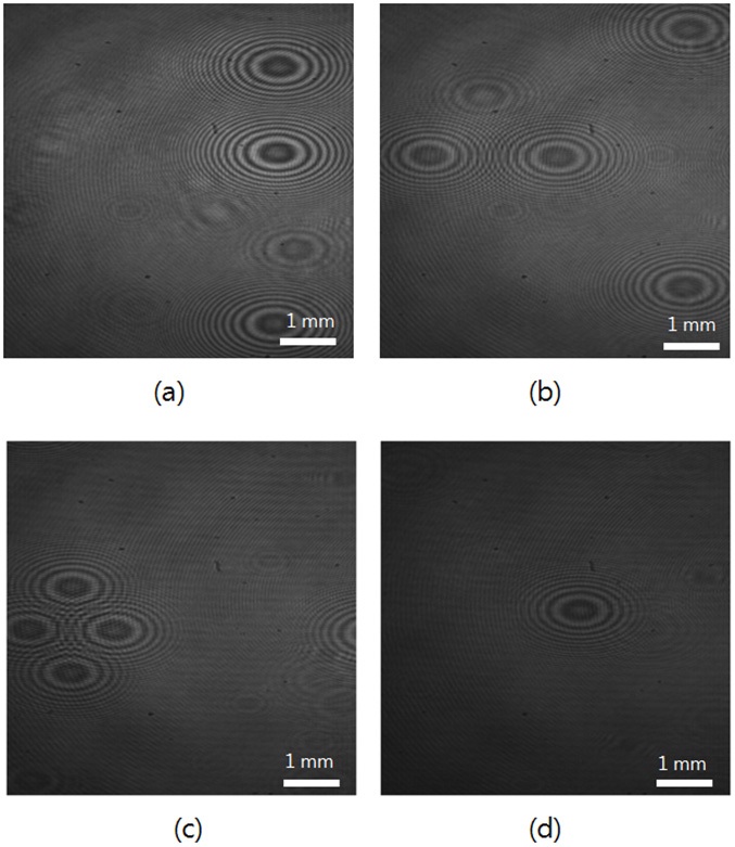 Experimental results of unit detection image with various interference fringes for Al dot patterns, shown in Fig. 12, with the diameter of (a) 3.0, (b) 1.5, (c) 1.0, and (d) 0.5 ㎛, respectively.