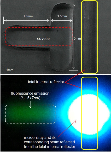Fabrication of fully integrated and miniaturized fluorometer (a) Micro-machined fluorometer. (b) Fluorescence result when excited at 465 nm whose beam axis passes through the cuvette via the total internal reflector.