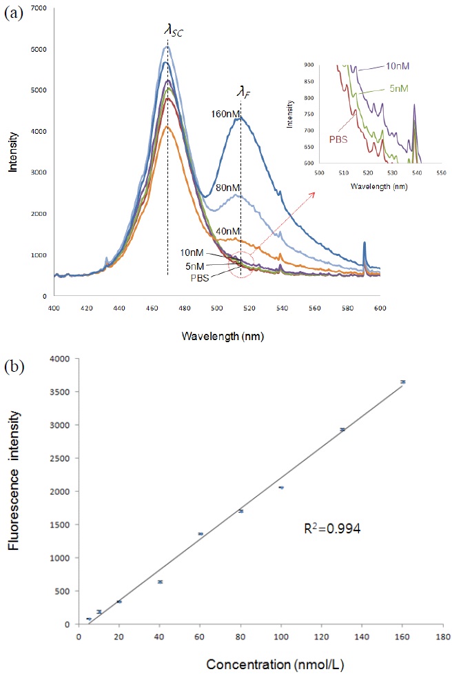 Representative experimental results showing (a) the limit of detection for the fluorescent dye 6-FAM and (b) fluorometer linearity. This measurement is conducted with 6-FAM ranging from 5 nmol/L to 160 nmol/L.