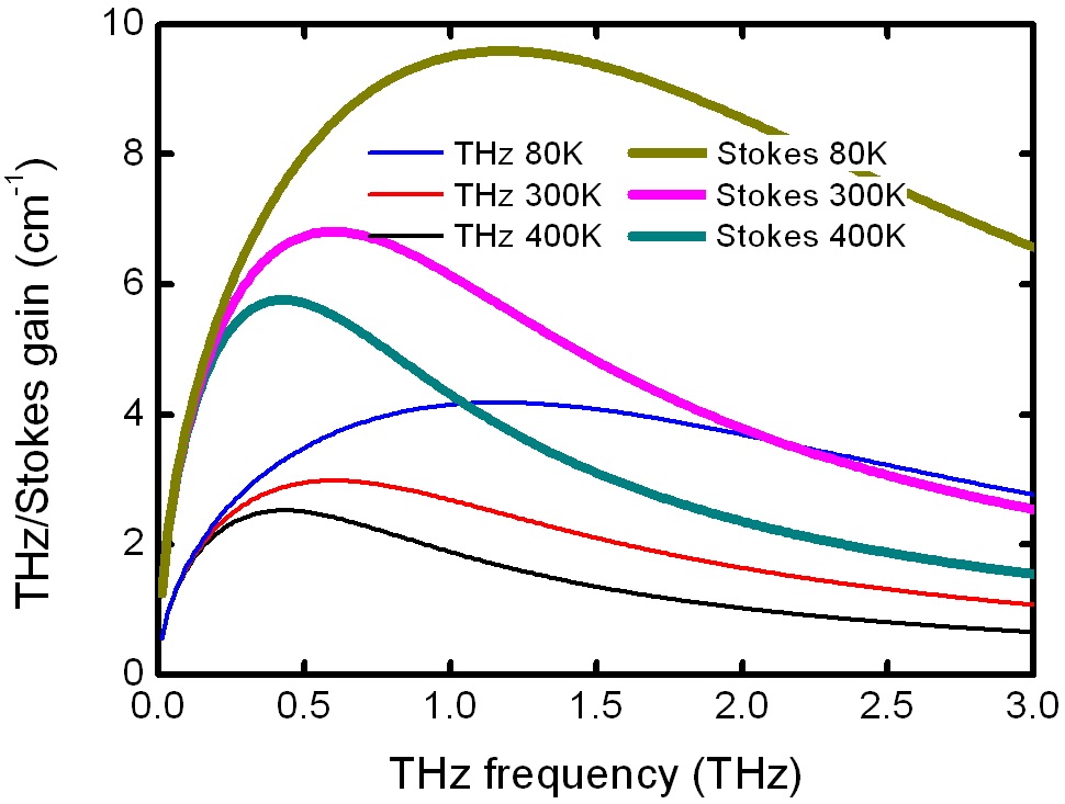 Gain coefficients of the THz-wave and the Stokes wave, λp=1064 nm, Ip=100 MW/cm2.