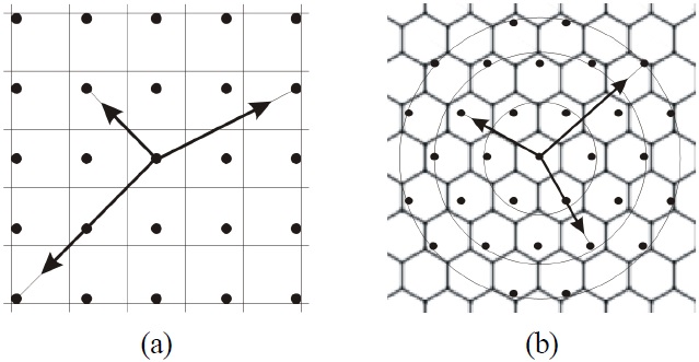 Two-dimensional reference functions: (a) for rectangular crossed lenticular plates and (b) for hexagonal spherical lenses based on the relative displacement.