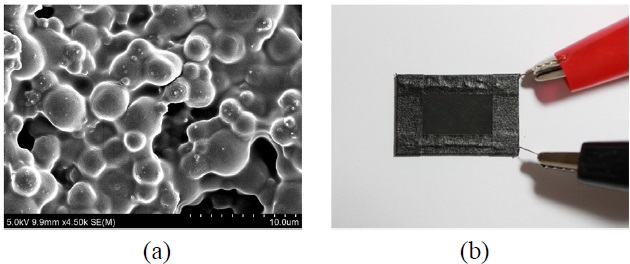 (a) SEM image of the thermochromic pigment coated on a glass, (b) fabricated unit thermochromic display cell.