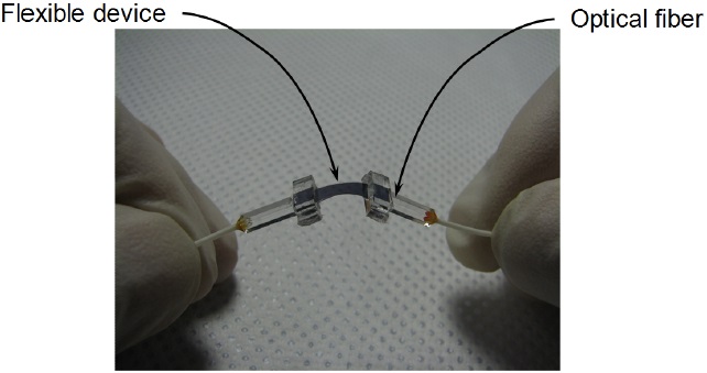 Photographs of the flexible Bragg grating waveguide connected with optical fibers.