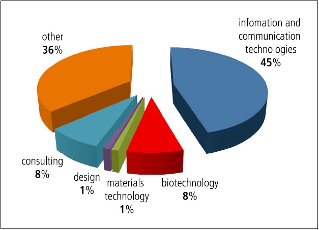 Structure of tenants of technological parks according to in 2012. (in %)