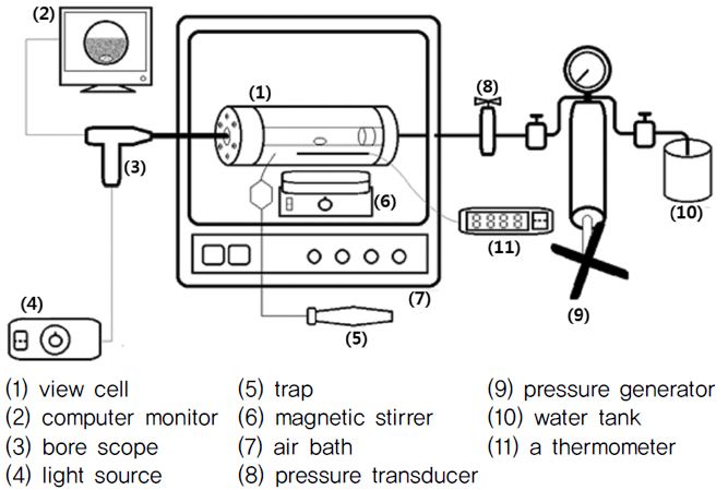 Schematic diagram of the experimental apparatus.
