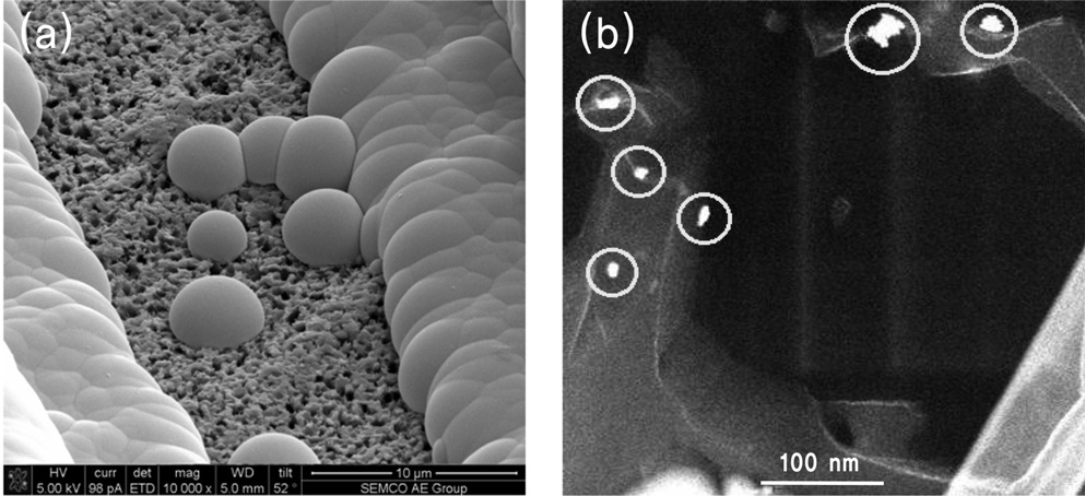 SEM morphology of the running blots (a) and the palladium seeds (b) on the epoxy resin observed by TEM.