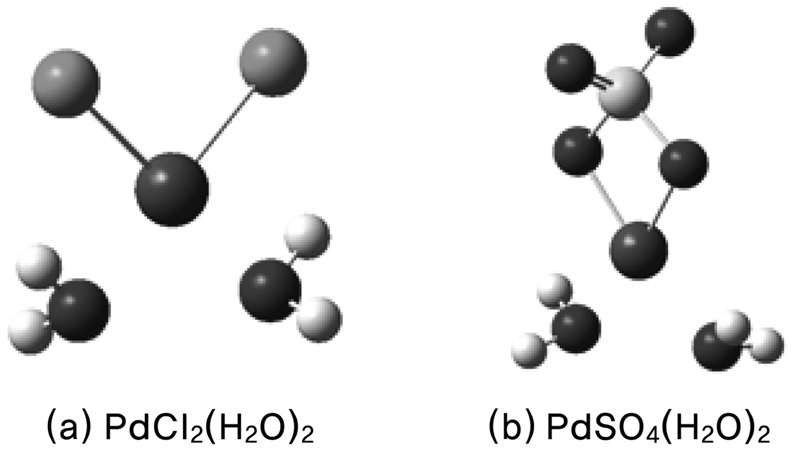 Optimized geometries of the hydrate complexes of PdCl2 (a) and PdSO4 (b).
