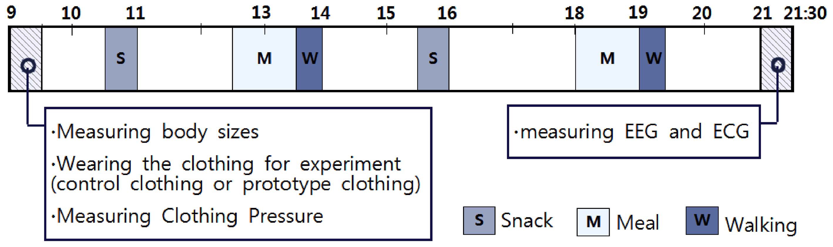 A chart of experimental schedule.