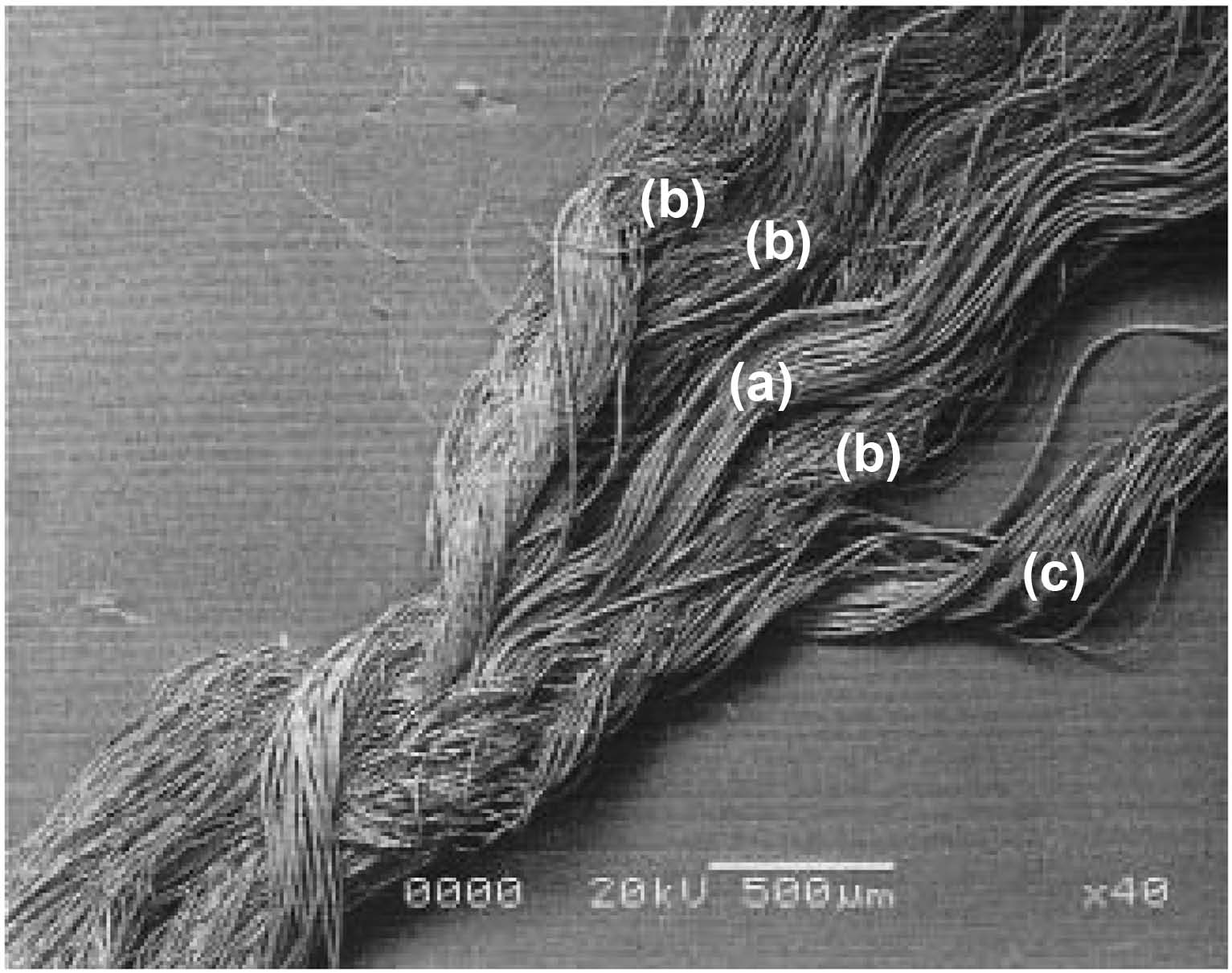 SEM photography of structure of the fancy yarn used as weft (×40); (a) inner yarn part, (b) effect yarn part, (c) binding yarn part.