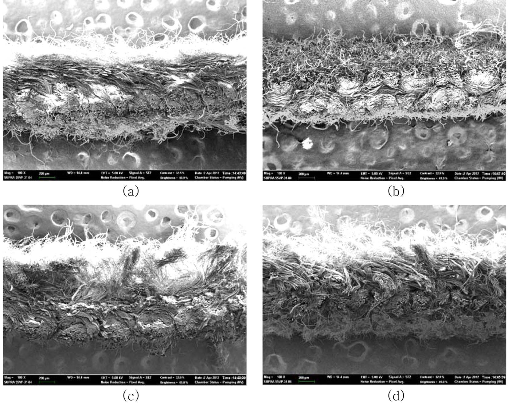 Scanning electron micrographs of the cross section of artificial
suedes (×100); (a) S1, (b) S2, (c) S3, (d) S4.