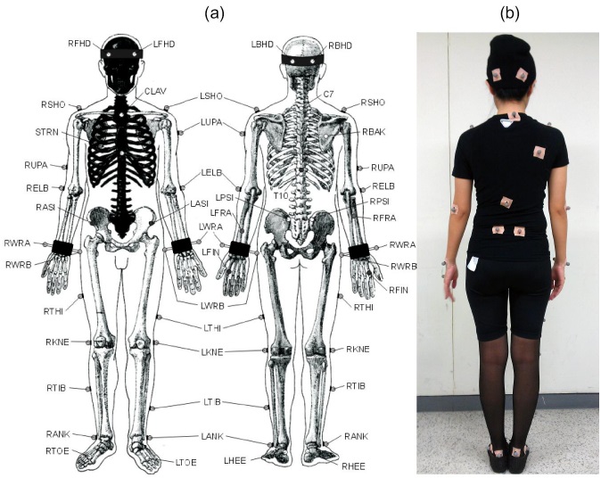 Motion capture dataset: (a) a description of the marker set and (b) an example showing the markers attached to a participant.
