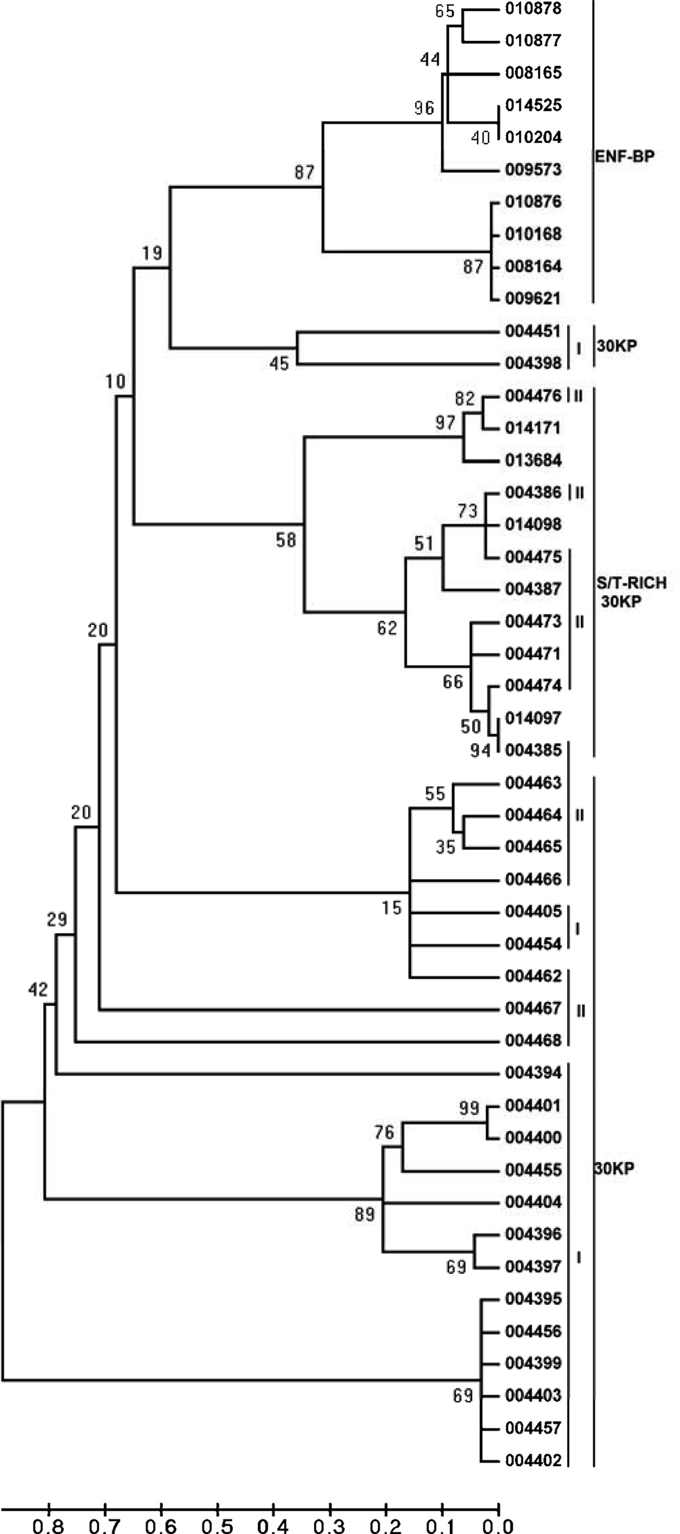 Neighbor-joining tree of paralogous genes of paralytic peptide binding protein, percentage of bootstrap values (based on the 1000 replication) for the main branching nodes are shown on the tree. The paralogous gene sequences retrieved from silkworm genome database are indicated by Gene ID number.