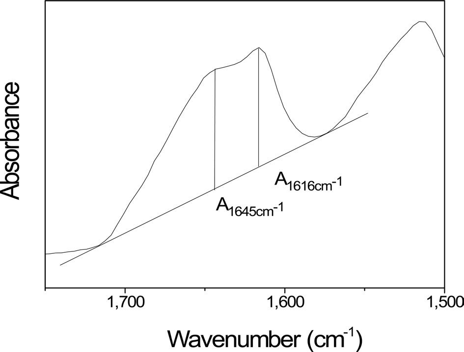 Determination of the crystallinity index from the amide I band.
