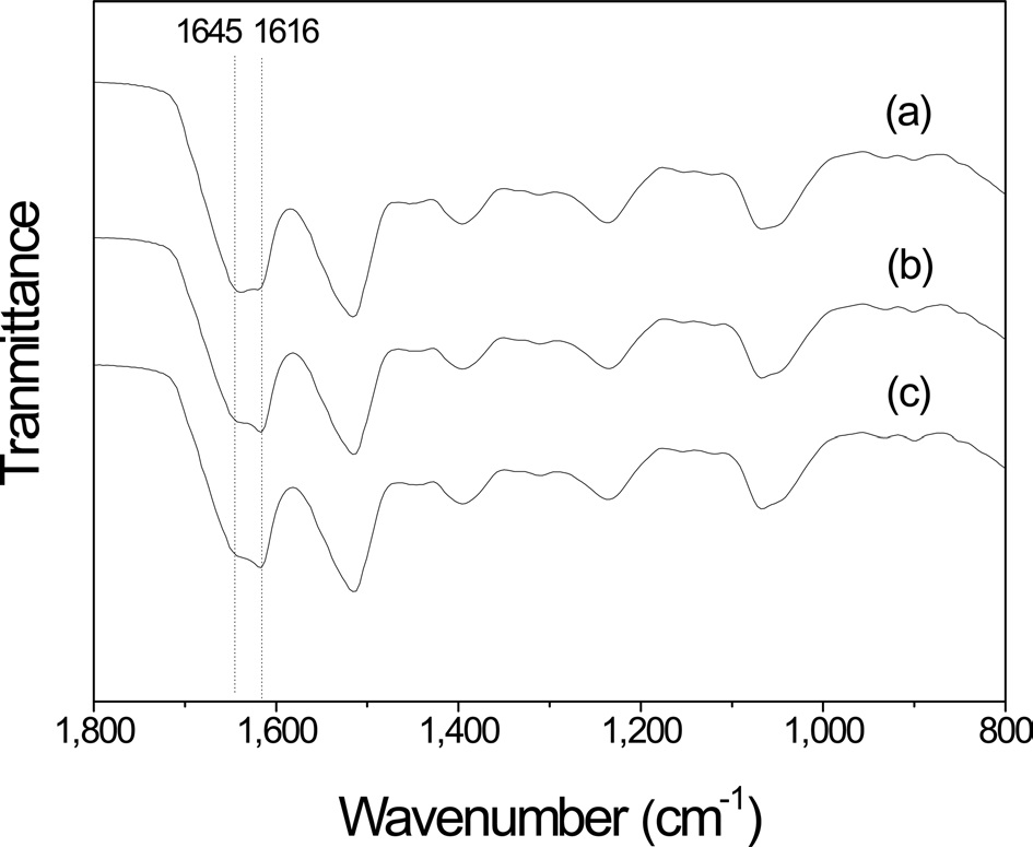 Fourier-transform infrared (FTIR) spectra for the air-facing side of the silk sericin film with hot water extraction for different time periods: (a) 30 min, (b) 60 min, and (c) 120 min.