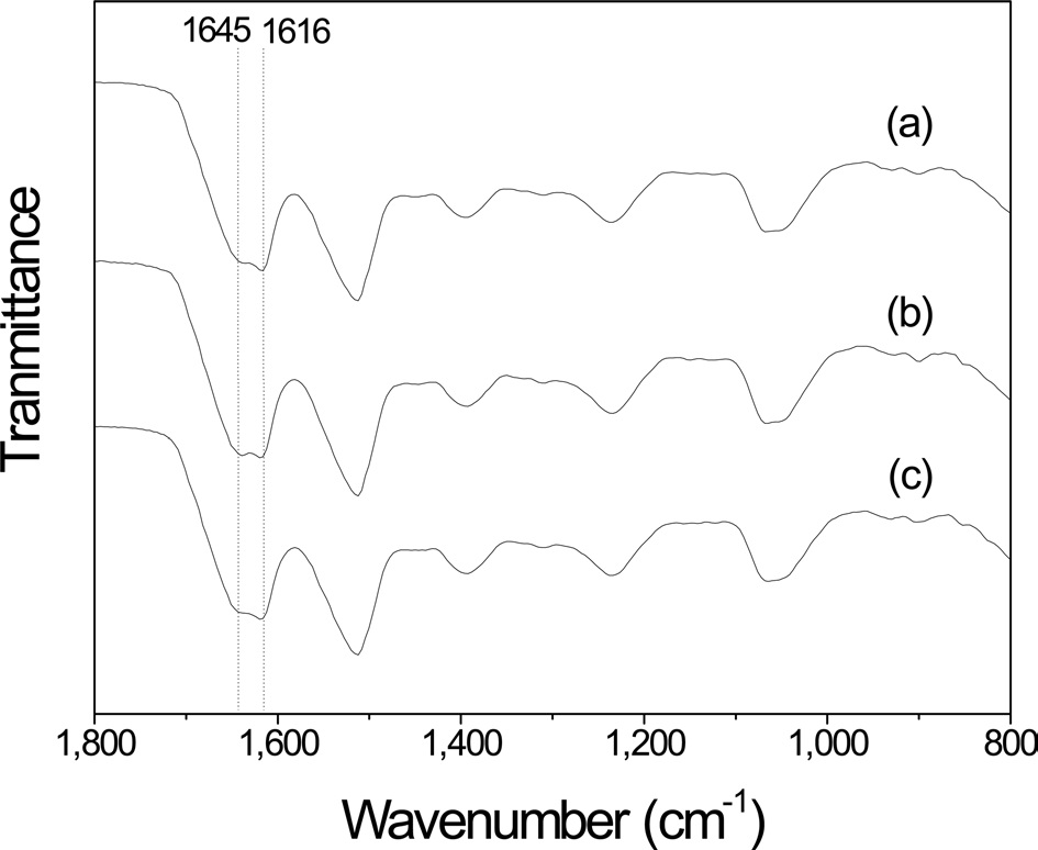 Fourier-transform infrared (FTIR) spectra for the plate-facing side of the silk sericin film after hot water extraction times for different time periods: (a) 30 min, (b) 60 min, and (c) 120 min.
