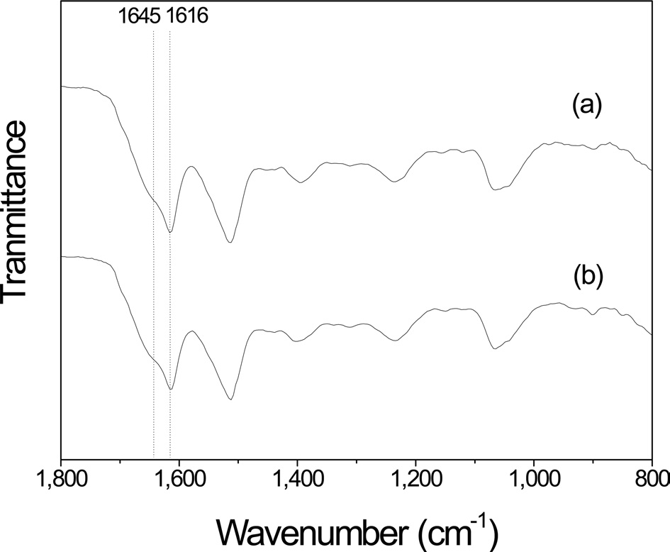 Fourier-transform infrared (FTIR) spectra for the plate-facing surface of the silk sericin film with different extraction solvents: (a) aqueous citric acid solution and (b) aqueous urea solution.