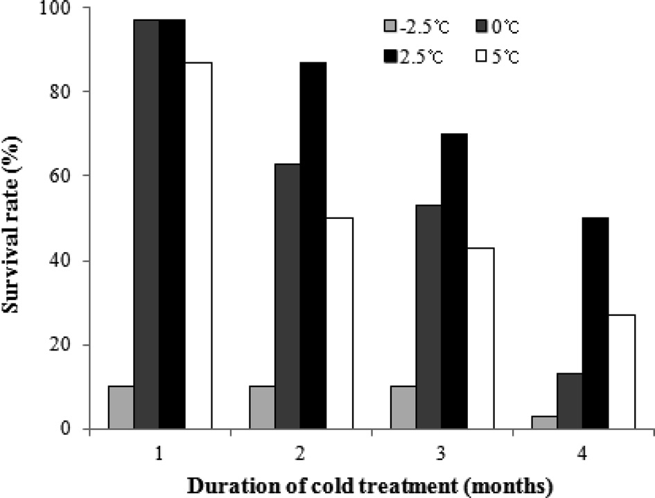 Survival rate of B. ignitus queens at different artificial hibernation chilling temperatures. Tahirty queens were allotted for the different chilling temperature regimes. Cold treatment was initiated within 12 days after emergence and was performed at over 80% humidity. There were statistically significant differences in the survival rates for the different temperatures and chilling durations at a significance level of p < 0.001 using the chi-squared test.