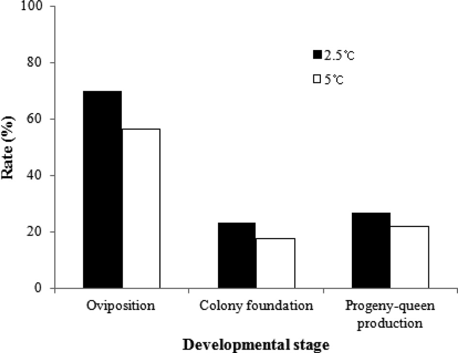 Colony development of B. ignitus reared after artificial hibernation at 2.5℃ and 5℃. Statistically significant differences were observed for the rates of oviposition, colony foundation and progeny-queen production of B. ignitus queens after artificial hibernation at 2.5℃ and 5℃ at a significance level of p < 0.05 using the chi-squared test.