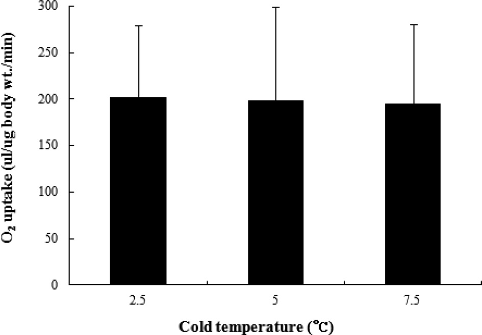 Comparison of O2 uptake of B. ignitus queens after artificial hibernation at different cold temperatures for 3 months. Oxygen uptake was measured 1 hr after the queens were transferred to 25℃. Each of the oxygen uptake values represents the mean of 10 replicates. There were no significant differences in O2 uptake of B. ignitus after storage at different chilling temperatures at a significance level of p < 0.05 using the chi-squared test.