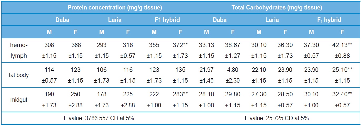 Quantitative analysis of total protein and carbohydrate concentrations in the different tissues of Daba, Laria & F1 hybrid (Mean ±SE)