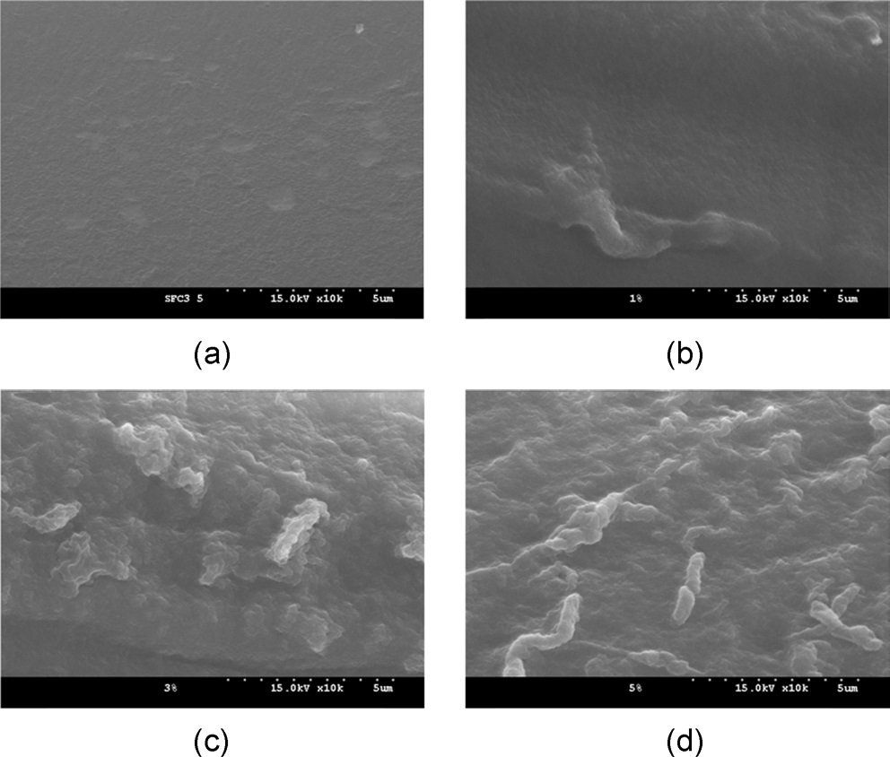 SEM images of CNF/regenerated SF filament with various CNF contents at high magnification (x 10,000): (a) 0%, (b) 1%, (c) 3%, and (d) 5%.