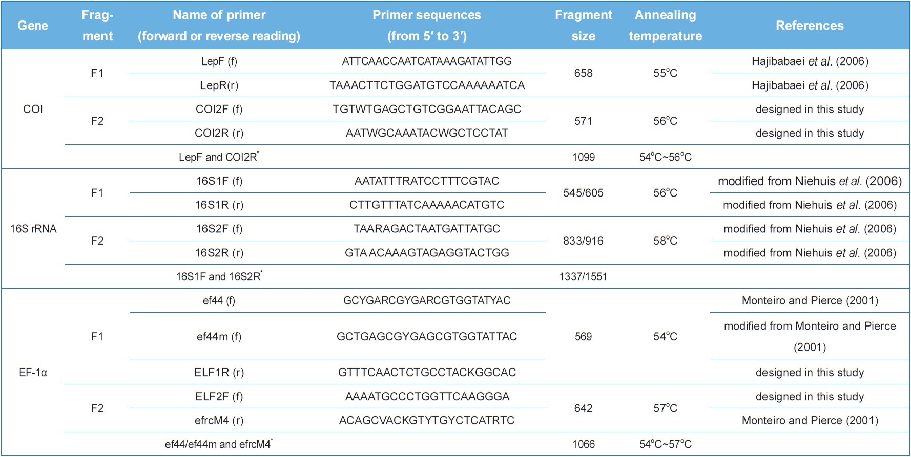 Primers used for the amplification of COI, 16S rRNA, and EF-1α genes