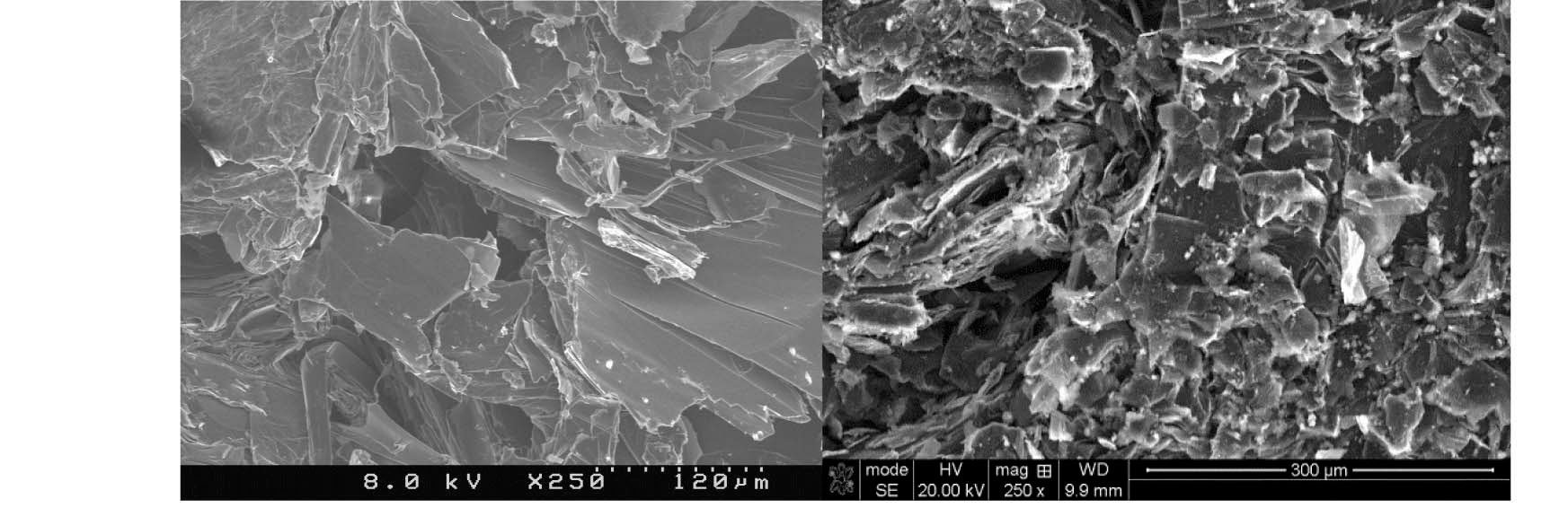 SEM Image of Unirradiated (Left) and Irradiated (Right) POCOFoam® at 250x