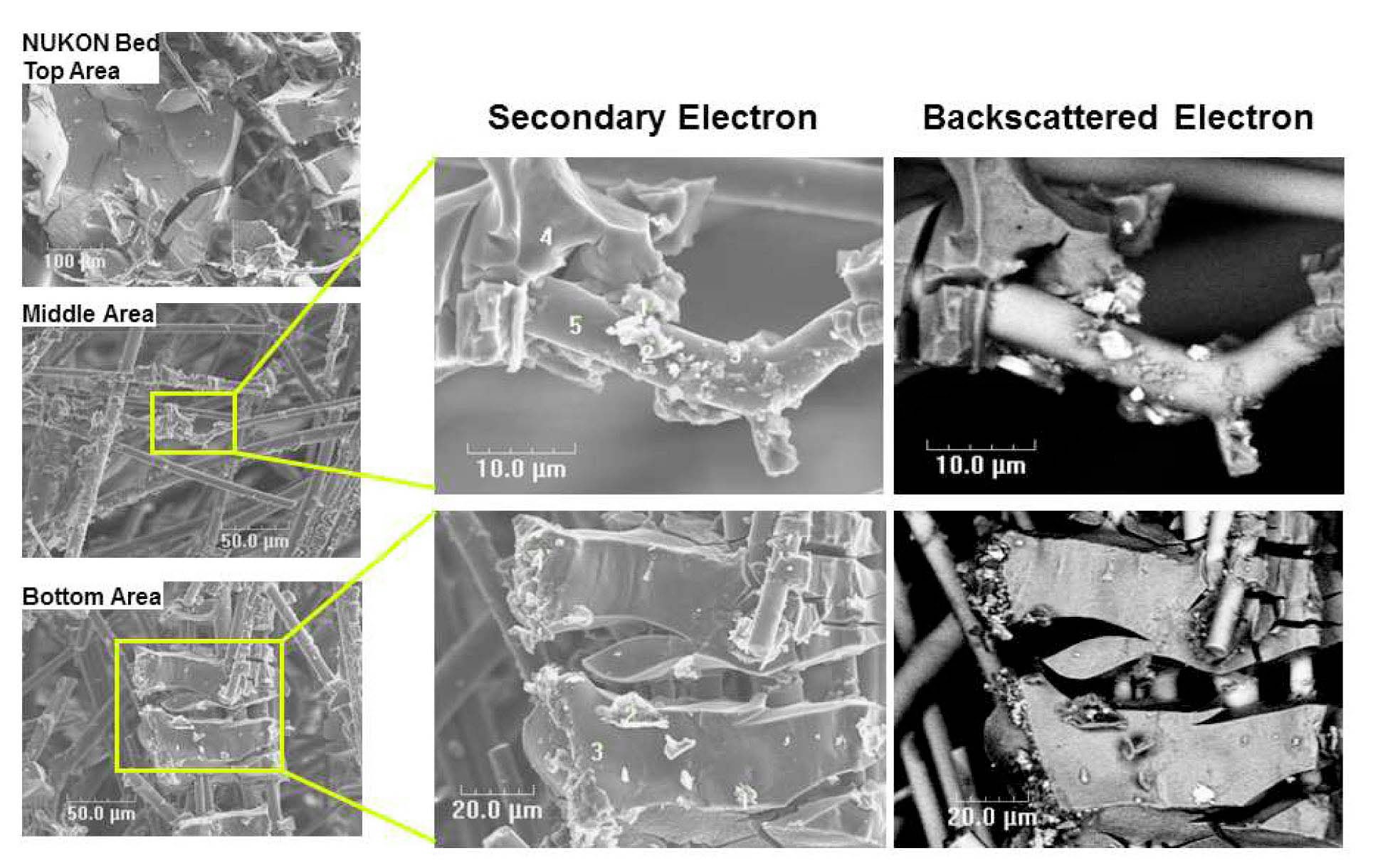 SEM Micrographs of the Glass Fiber Debris Bed Internal after the Head Loss Testing with 1100 Al Plates [27].