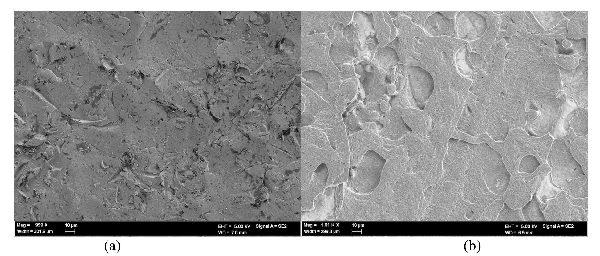 SEM Images of the SS316L Heater Surface for (a) Water-only (Before CHF Location) and (b) Alumina 0.001% Nanofluid (Before CHF Location). Marker Bar for Both Images is 10 μm.