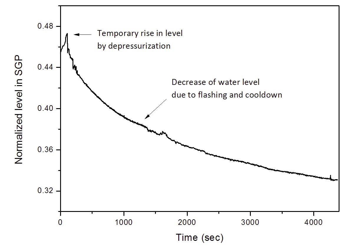 Pressurizer Water Level during SBLOCA of RTF