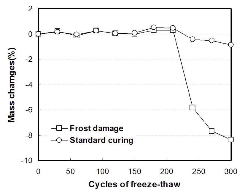 Mass Change of Concretes during the Freeze-thaw Test