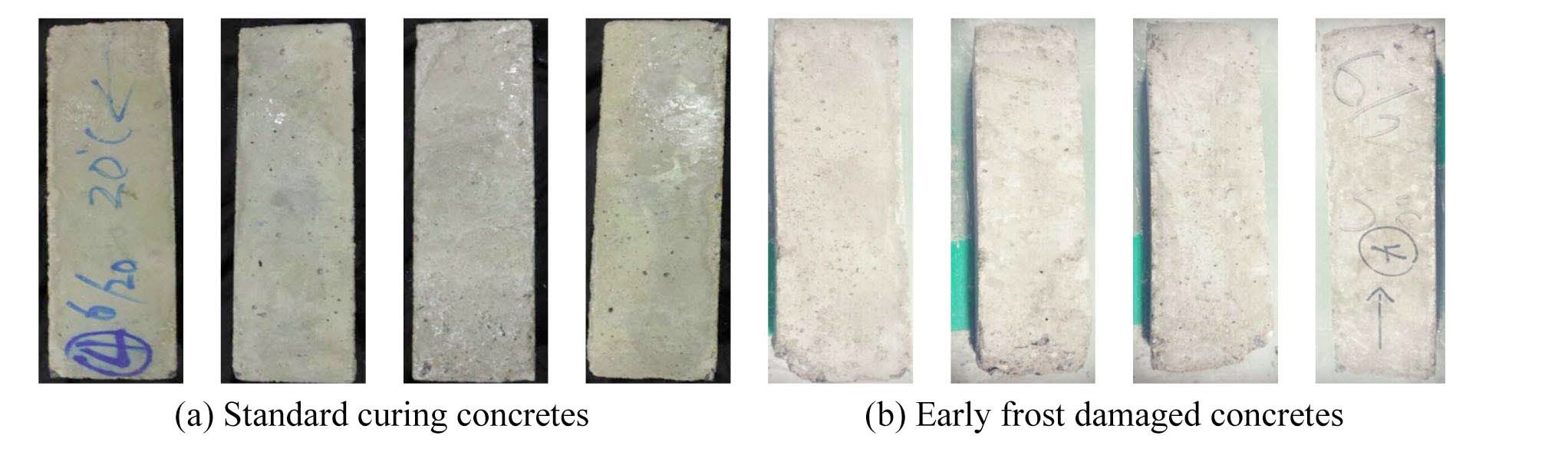Appearance of Concretes after Completion of Freeze-thaw test