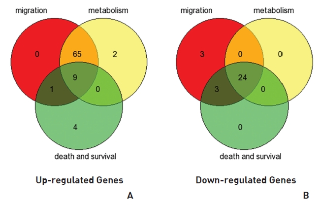 Venn diagram of a 2-fold changed gene based on cellular function using gene ontology. Venn diagrams show (A) genes up-regulated in MRGX-treated lung cancer cells by migration, metabolism, and cell death and survival in the microarray analysis, and (B) genes down-regulated in the microarray analysis.