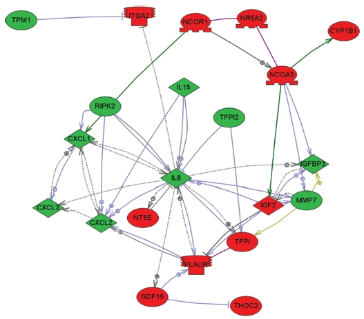 Network analysis based on a gene ontology analysis. Two-fold changed total proteins regulated by MRGX were queried by IPA, resulting in a distinct interconnected network of 21 proteins.