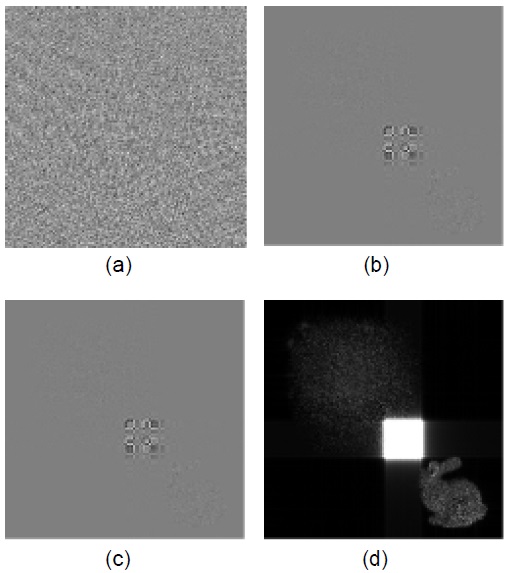 Result of discrete Fresnel transform: (a) original digital hologram, (b) real part, (c) imaginary part, and (d) absolute image of (b) and (c).