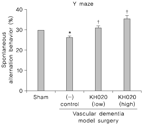 Y maze performance after KH020 treatment in sham control and VDM groups.