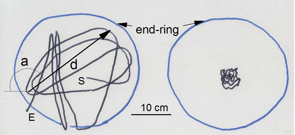 Example of shaking tracks of center of the end of codend (a, moving angle; d, amplitude as moving distance; s, starting point; E, end point) when shaking motion (A) and normal (non-shaking) state (B).