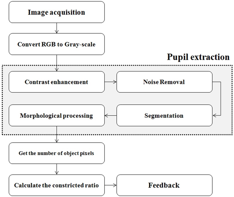 The flow chart of the whole process including image processing in this study.