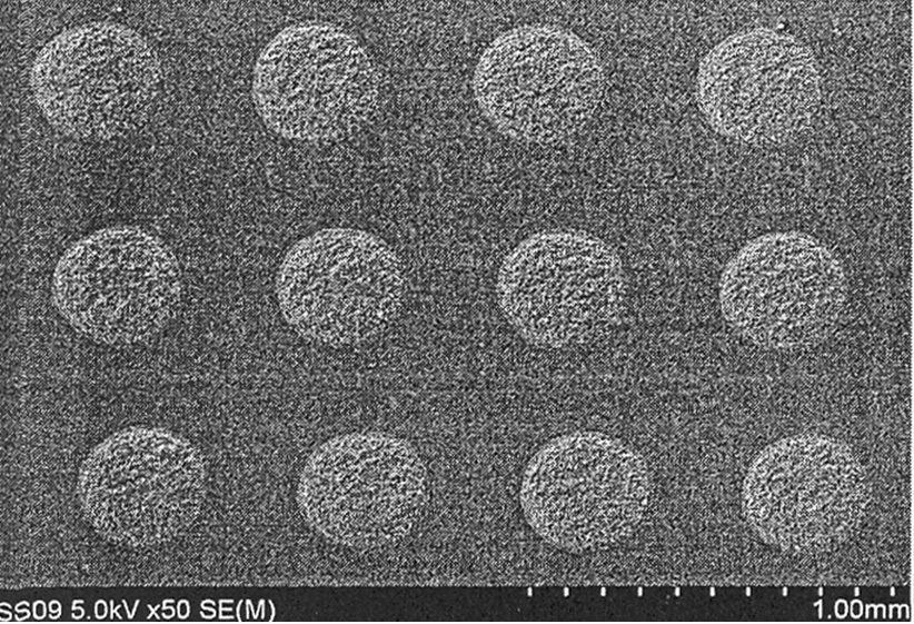 The scanning electron microscopic view of the scattering patterns.