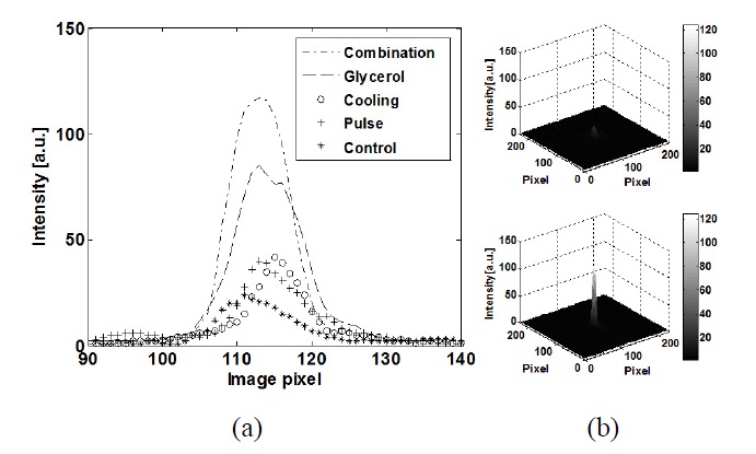 Comparison of (a) 2D and (b) 3D laser beam profiles for control (upper) and the combination method (lower) of tissue cooling of 10℃, laser pulse frequency of 5 Hz, and 95% glycerol injection.