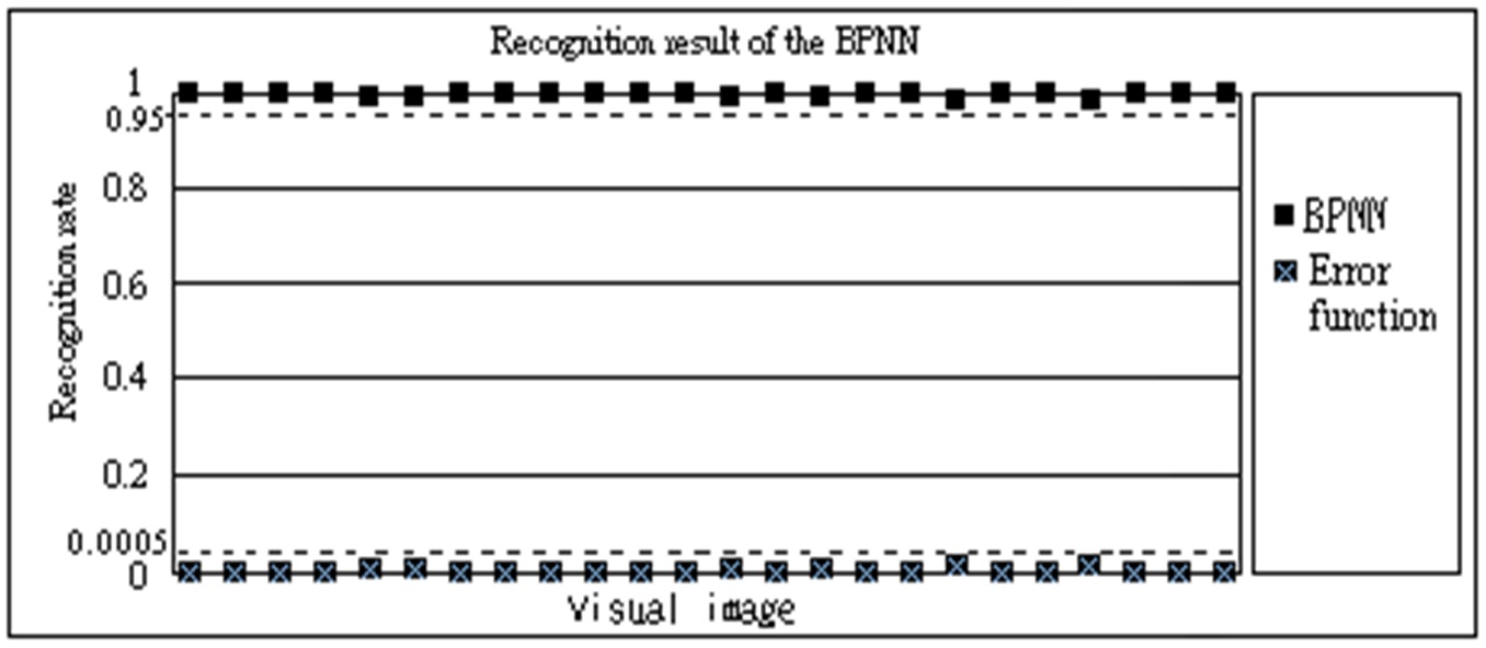 Recognition result and error function.