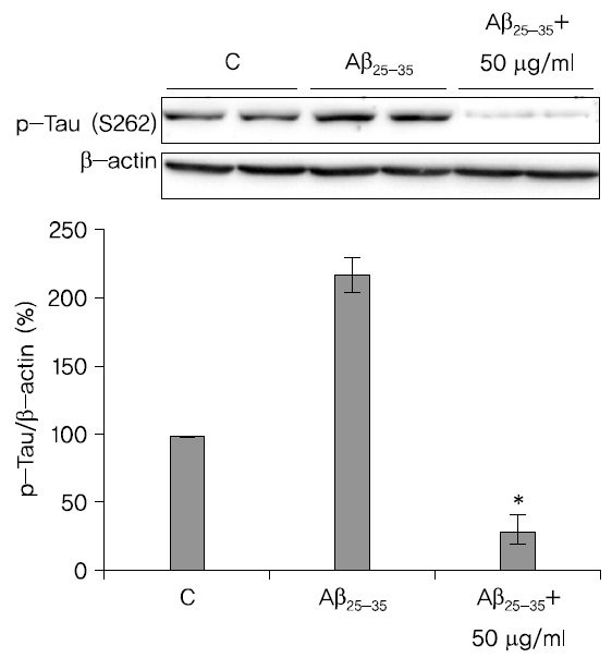 Effect of LRE on Tau in Aβ25-35 induced SH-SY5Y cells. The cells were treated with 50 μg/ml of B and 20 μM of Aβ25-35 for 6 h and then measured Tau phosphorylation by immunoblotting. The intensity of the phosphorylated Tau bands was quantitated by densitometry and normalized versus β-actin. The data are expressed as the mean±S.D of three experiments. *p＜0.05 vs Aβ alone.