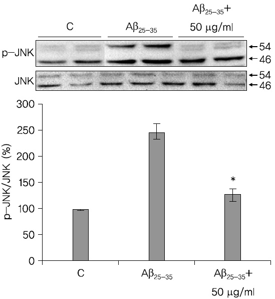 LRE treatment inhibits Aβ25-35-induced JNK phosphorylation in SH-SY5Y cells. The cells were treated with 50 μg/ml of B and 20 μM of Aβ25-35 for 6 hour and then measured JNK phosphorylation by immunoblotting. The intensity of the protein bands was quantitated by densitometry and the amounts of phosphorylated JNK was normalized versus total JNK band. Values are mean±S.D. (n=3). *p＜0.05 vs Aβ alone.
