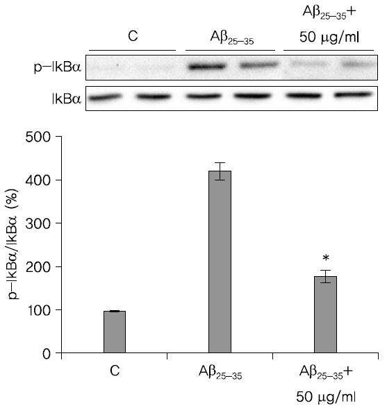 LRE treatment inhibits Aβ25-35-induced IkB phosphorylation in SH-SY5Y cells. The cells were treated with 50 μg/ml of LRE and 20 μM of Aβ25-35 for 6 hour and then measured IkB phosphorylation by immunoblotting. The intensity of the protein bands was quantitated by densitometry and the amounts of phosphorylated IkB was normalized versus total IkB band. Values are mean±S.D. (n=3). *p＜0.05 vs Aβ alone.