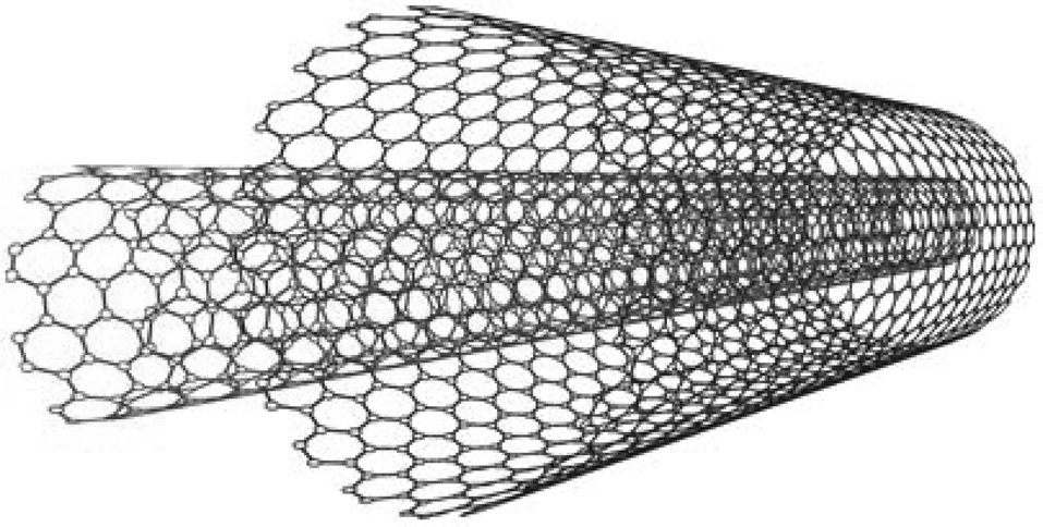 Double-walled carbon nanotubes. Reprinted from Pichler [12] with permission from Nature Publishing Group.