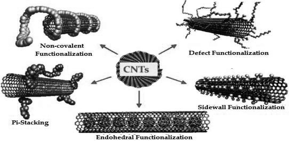 Most common types of functionalization. CNT, carbon nanotube. Reprinted from Hirsch [84] with permission from Wiley-VCH Verlag GmbH.