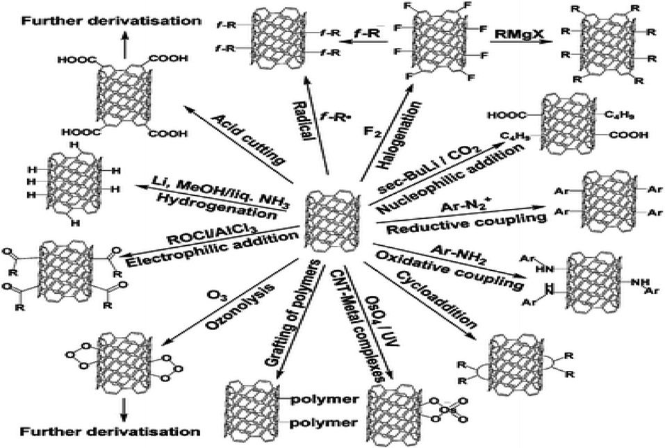 Functionalization of carbon nanotubes. Reprinted from Wu et al. [87] with permission from The Royal Society of Chemistry.